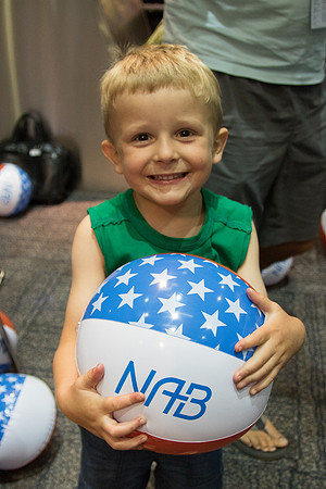 NAB Triennial July 2015