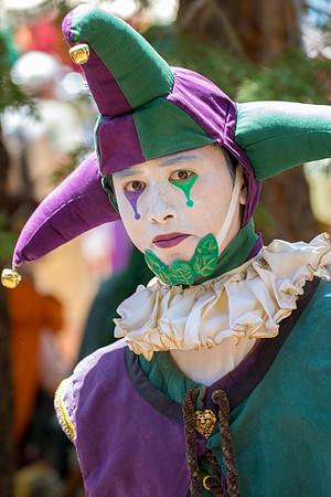 Valhalla Renaissance Faire