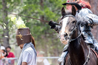 Valhalla Renaissance Faire