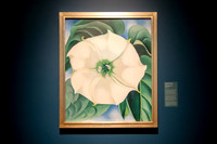 Jimson Weed/White Flower No. 1, Georgia O'Keeffe, 1932.