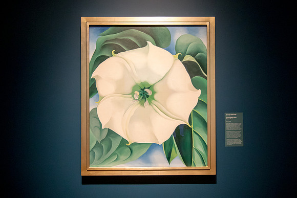 Jimson Weed/White Flower No. 1, Georgia O'Keeffe, 1932.