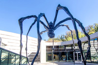 The main entrance is next to a large and captivating spider entitled "Maman", by Louise Bourgeois, 1999.