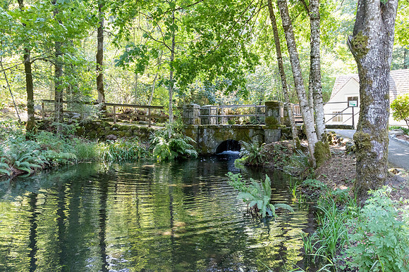 Bonneville Fish Hatchery