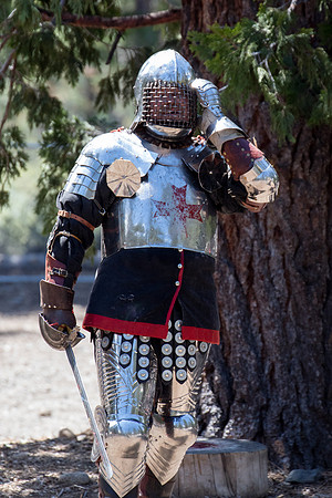 Valhalla Renaissance Faire