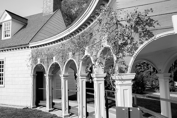 Mount Vernon