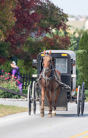Amish Country - Pennsylvania